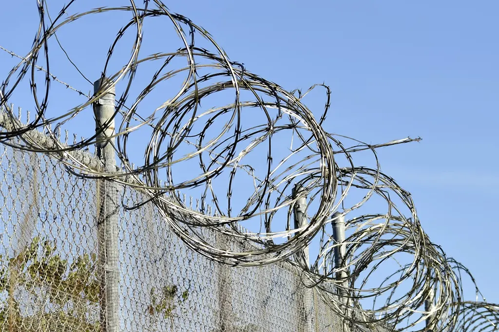 Верхній захист периметра Єгозою
