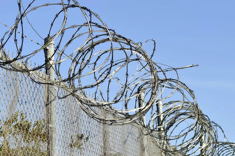 Верхній захист периметра Єгозою